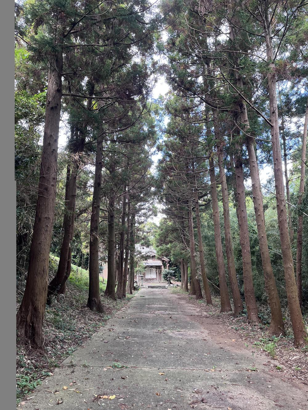 湯ノ本温泉、壱岐ウルトラコースをマラニックの写真3