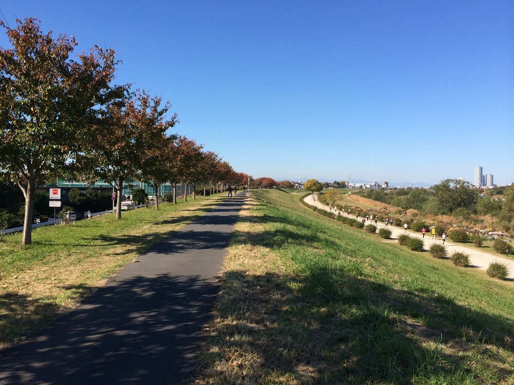 多摩川に沿って二子橋ー丸子橋往復の写真3