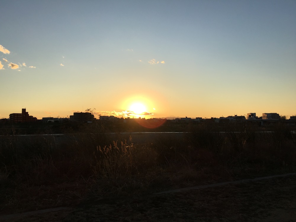 多摩川に沿って二子橋ー丸子橋往復の写真4