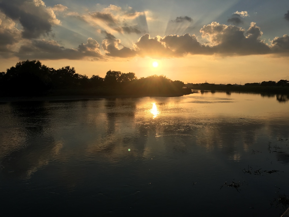 多摩川に沿って二子橋ー丸子橋往復の写真5