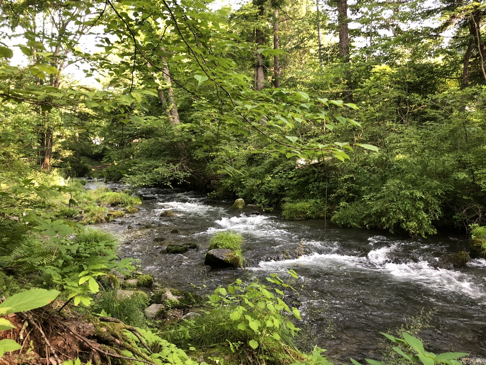 星野リゾート軽井沢を満喫するモーニングラン5kmコースの写真4