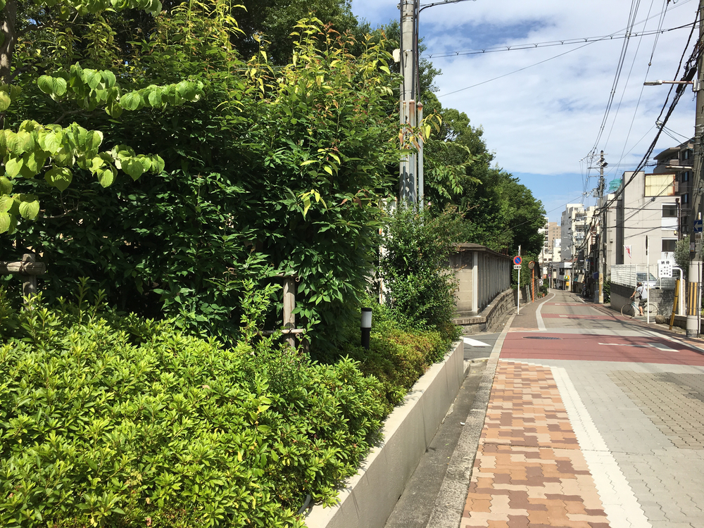阿倍野王子神社から住吉大社まで神社道の写真3