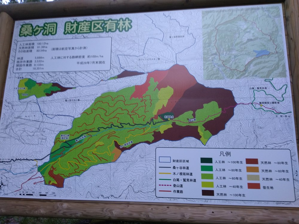 鷲が岳スキー場頂上　トレイルの写真12