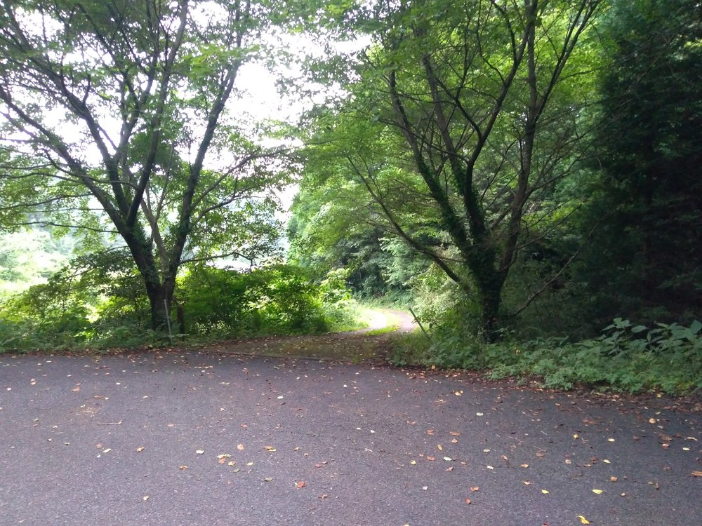 伊万里　腰岳　周回の写真3