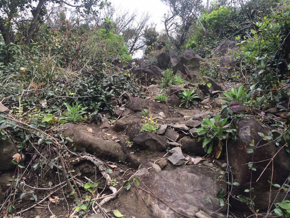 伝説の島・鬼ヶ島（女木島）コースの写真4