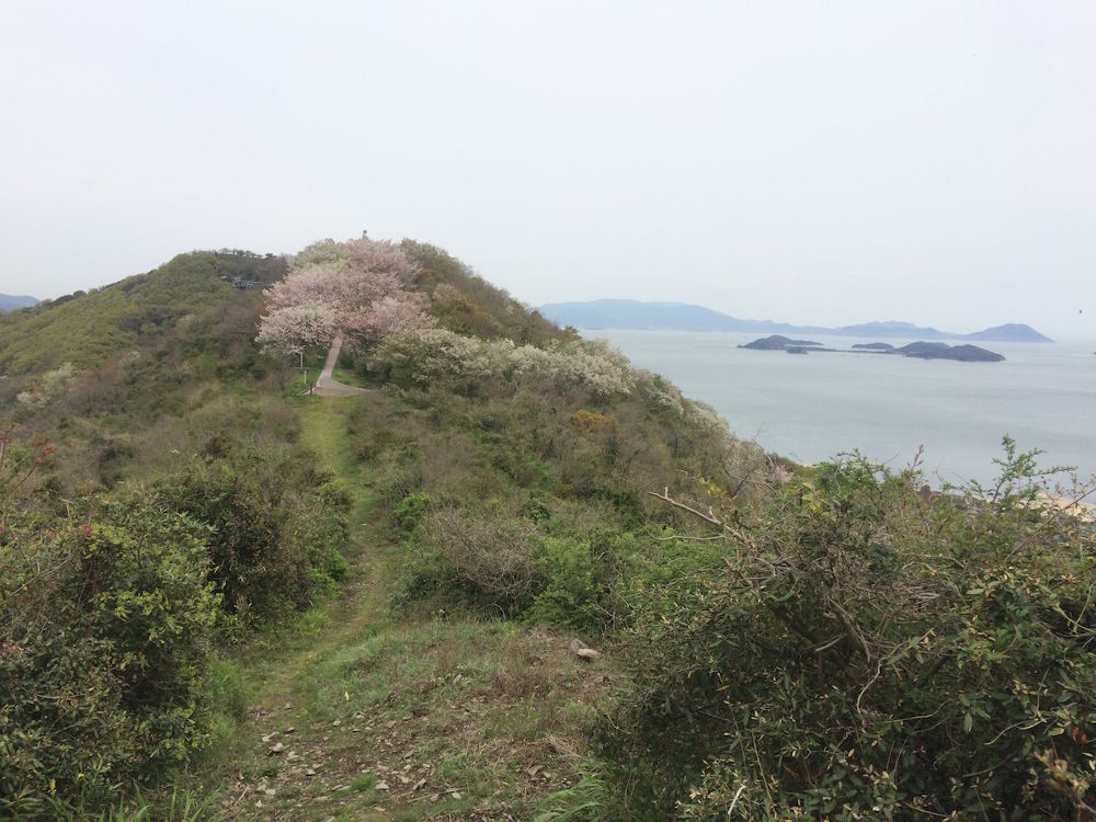 伝説の島・鬼ヶ島（女木島）コースの写真5