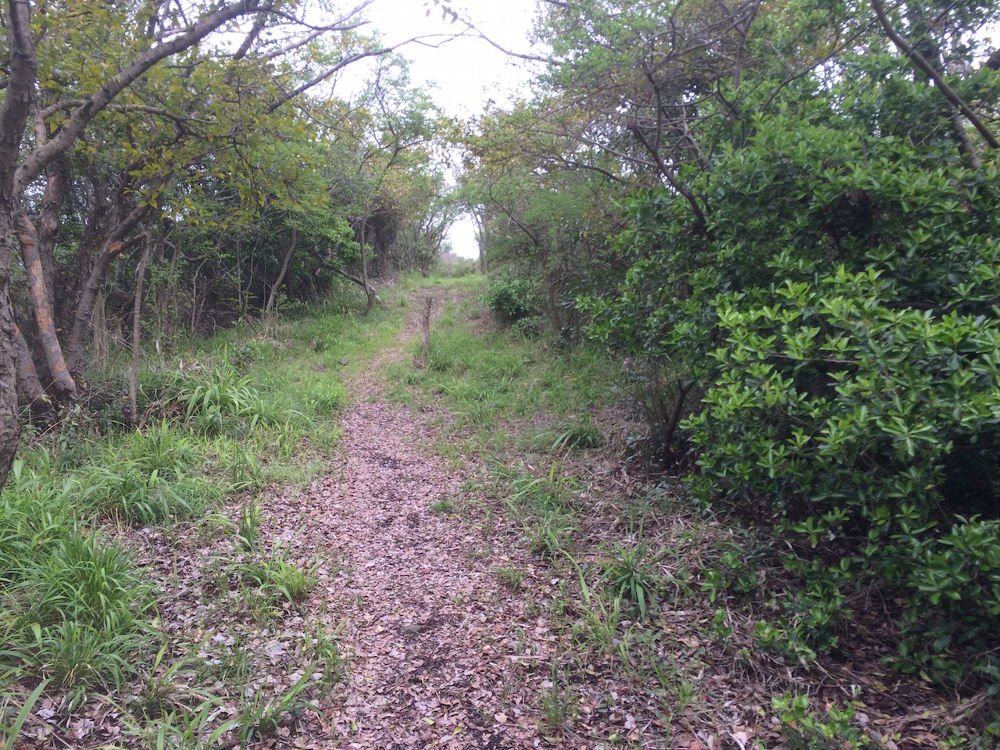 伝説の島・鬼ヶ島（女木島）コースの写真6