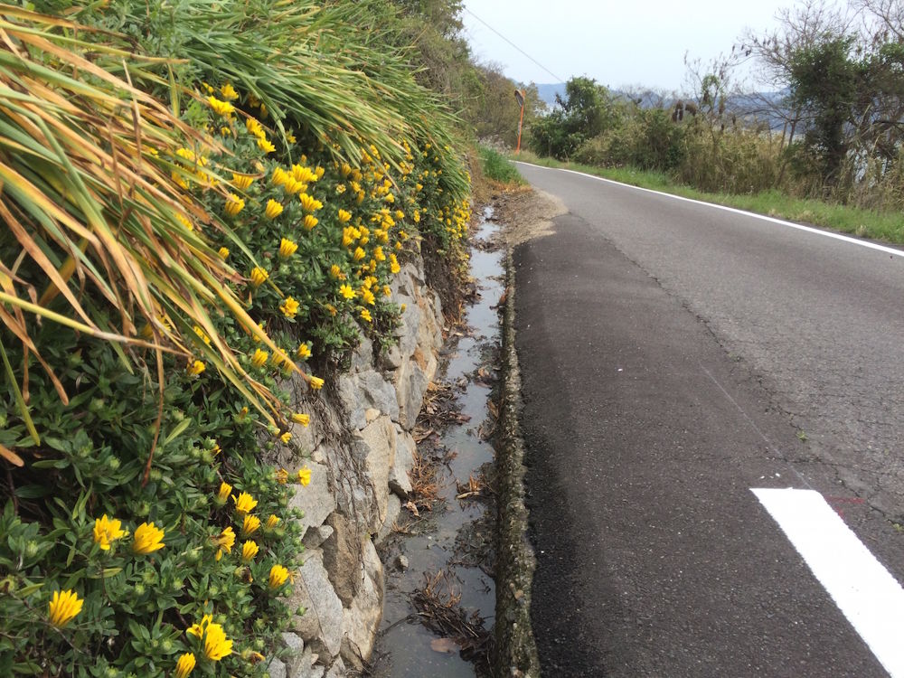 伝説の島・鬼ヶ島（女木島）コースの写真8