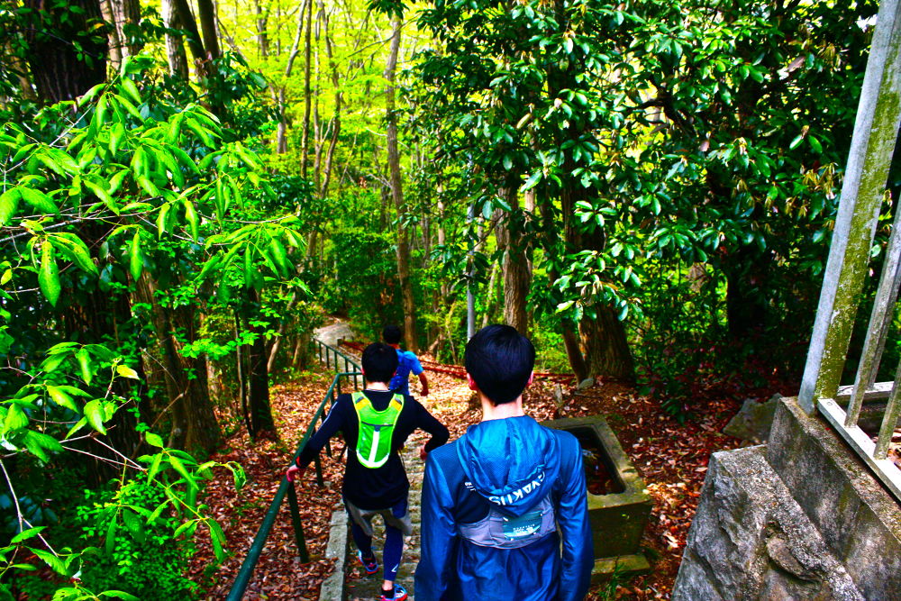 高尾駅発着・南高尾〜高尾山20kmコースの写真3