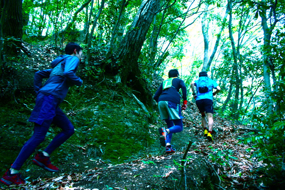 高尾駅発着・南高尾〜高尾山20kmコースの写真4