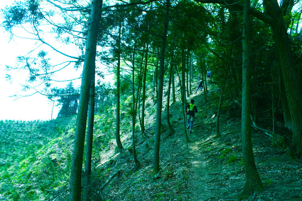 高尾駅発着・南高尾〜高尾山20kmコースの写真5