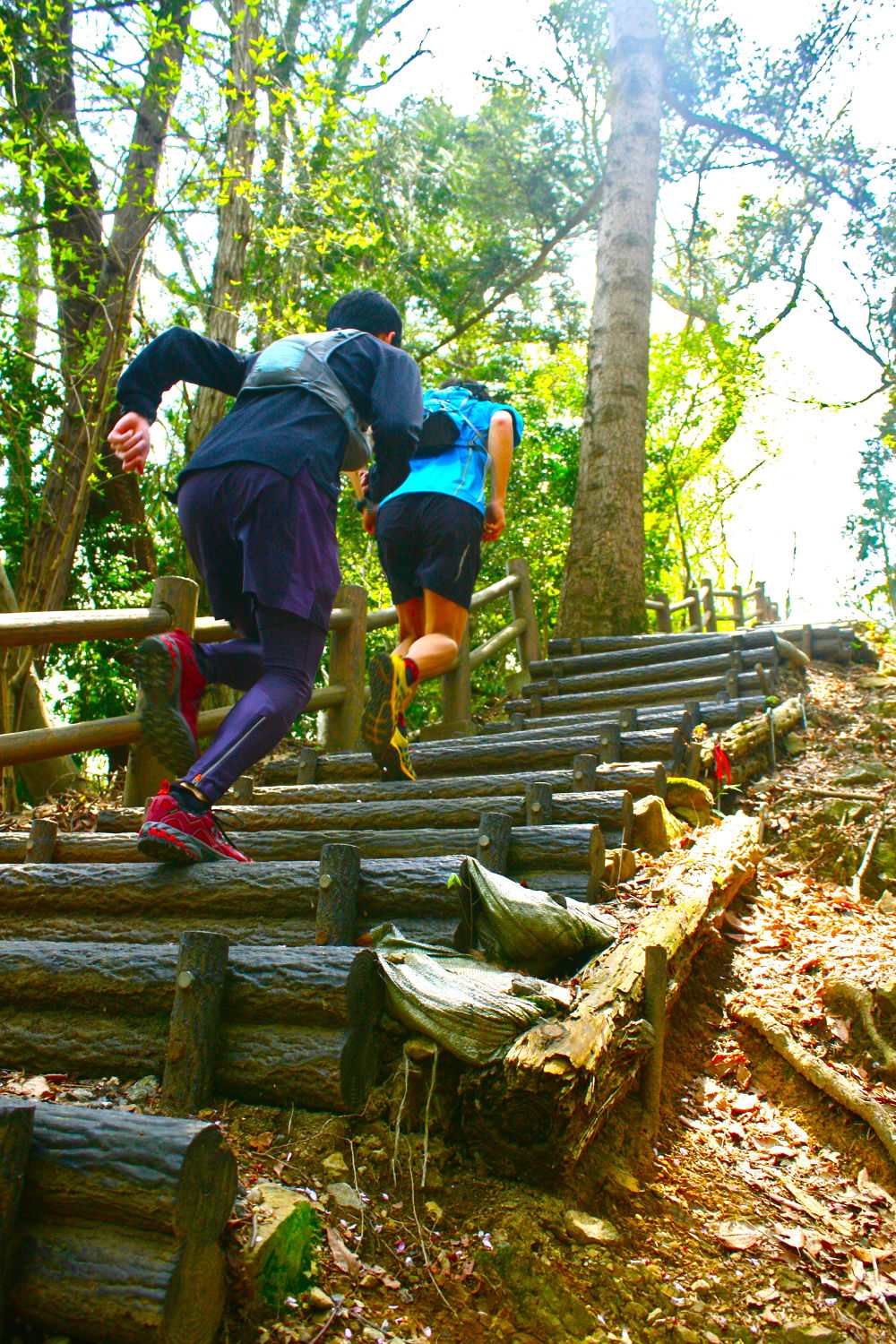 高尾駅発着・南高尾〜高尾山20kmコースの写真6