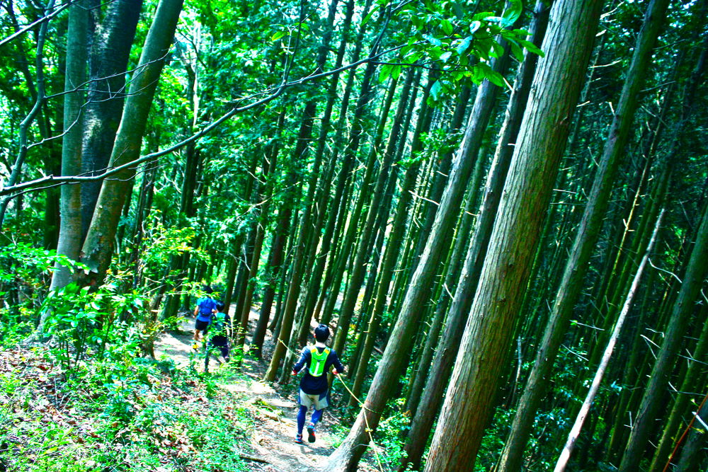 高尾駅発着・南高尾〜高尾山20kmコースの写真8