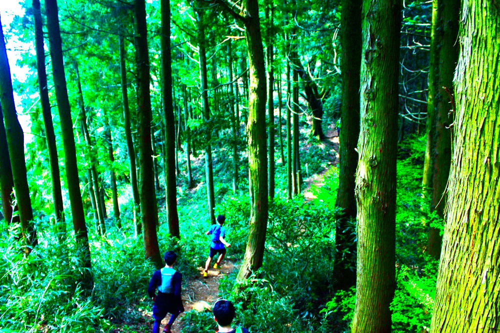 高尾駅発着・南高尾〜高尾山20kmコースの写真9