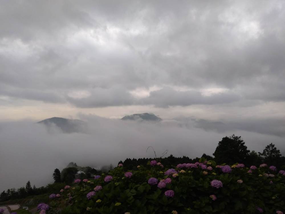 伊万里　伊万里駅ー国見棚田公園ー国見湖畔公園の写真4