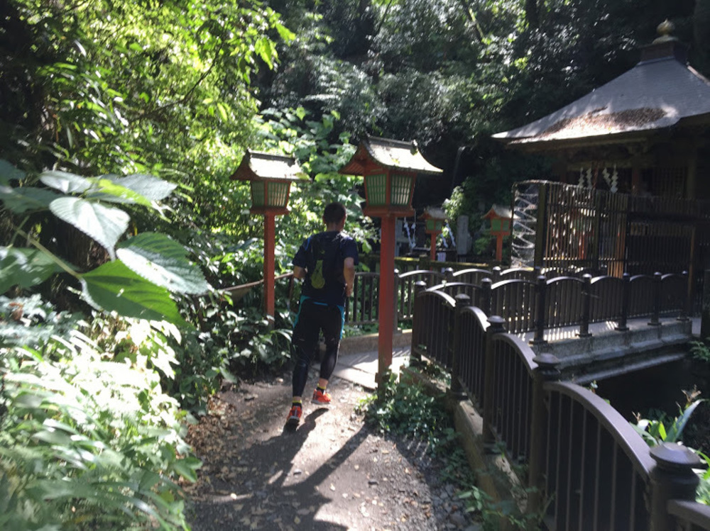 高尾山　マイナスイオンいっぱいのショートコースの写真3