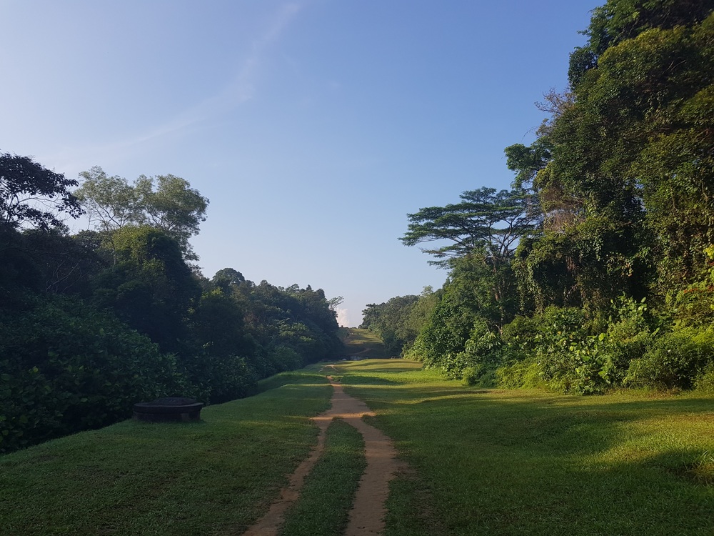 シンガポール・Daily Farm Nature Park から MacRitchie Reservoirへの写真3