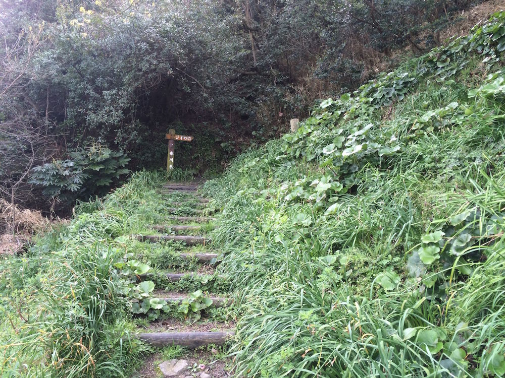 猫だらけ！「男木島」1周コースの写真6