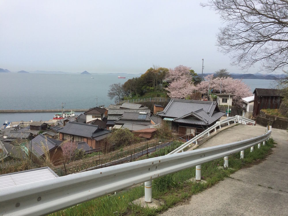 猫だらけ！「男木島」1周コースの写真8