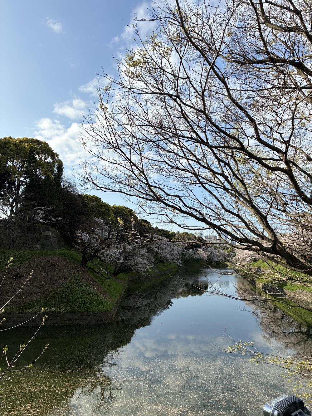 皇居1周のアレンジ版 9kmの写真4
