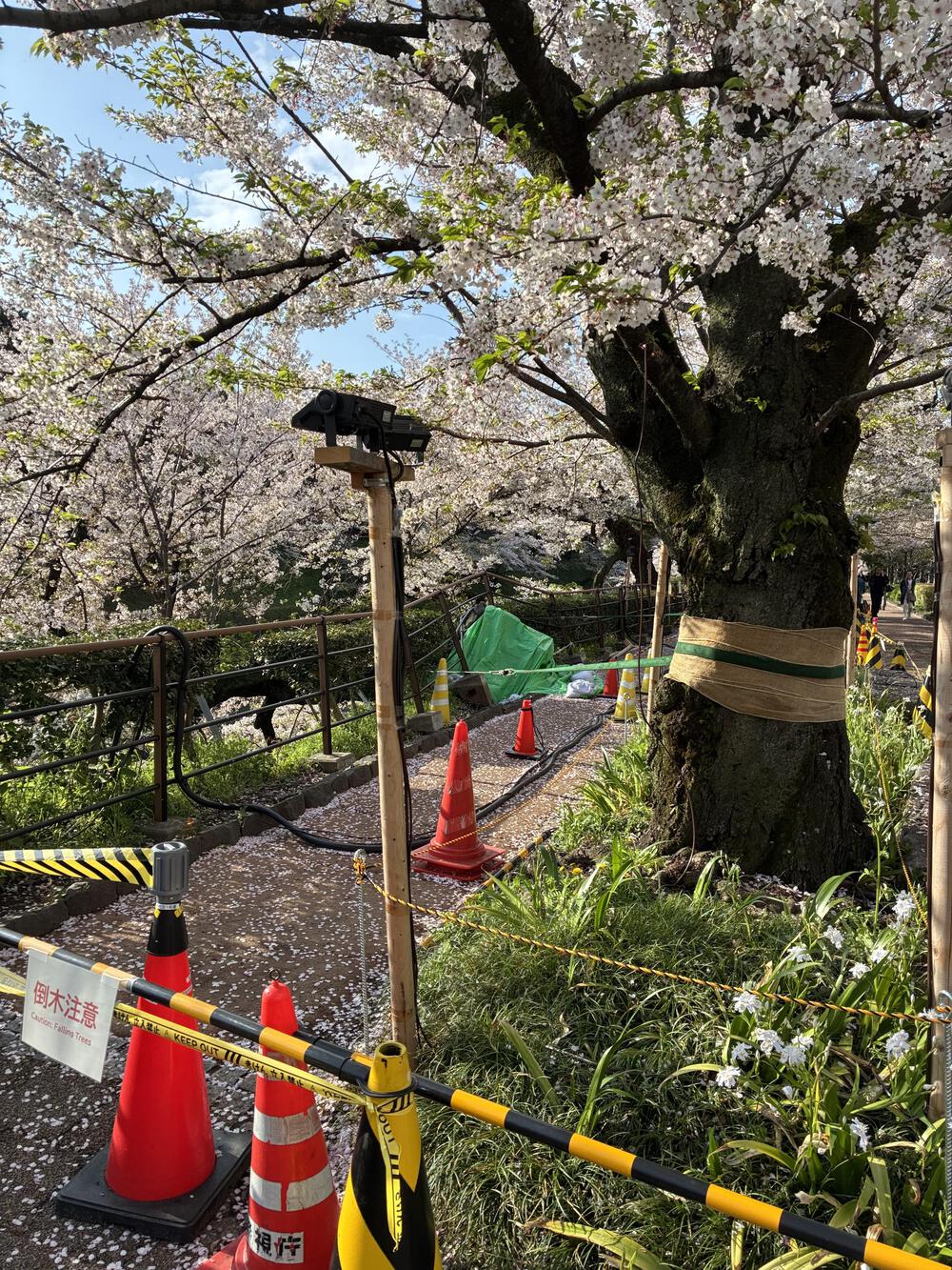 皇居1周のアレンジ版 9kmの写真5