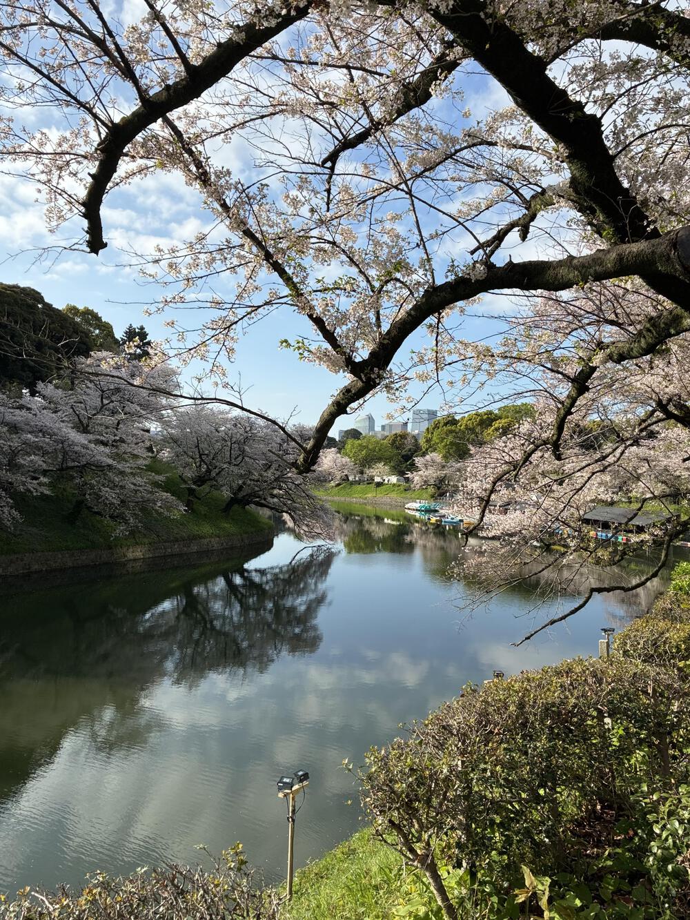 皇居1周のアレンジ版 9kmの写真6