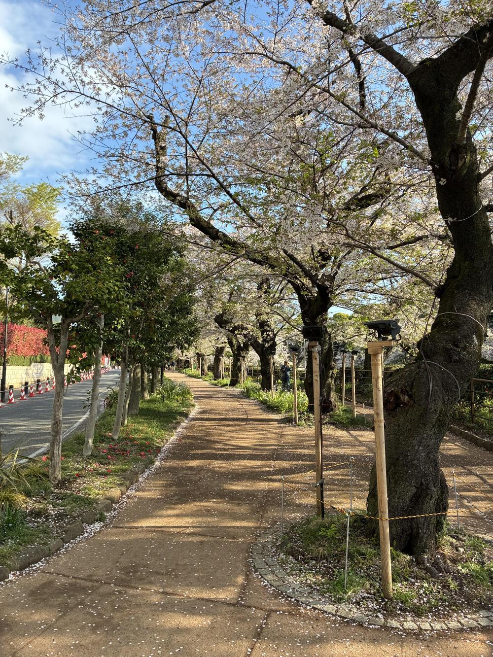 皇居1周のアレンジ版 9kmの写真7