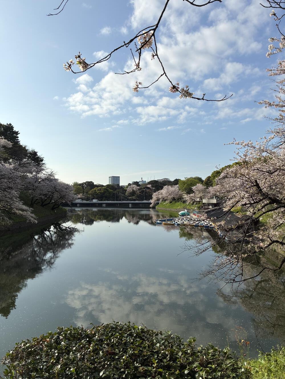 皇居1周のアレンジ版 9kmの写真8