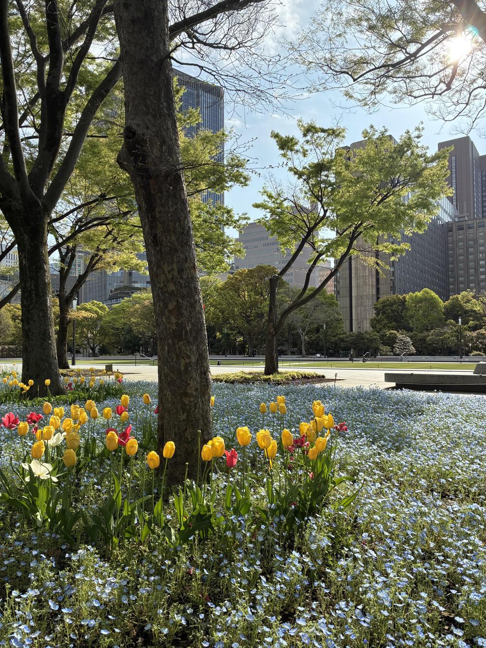 皇居1周のアレンジ版 9kmの写真10