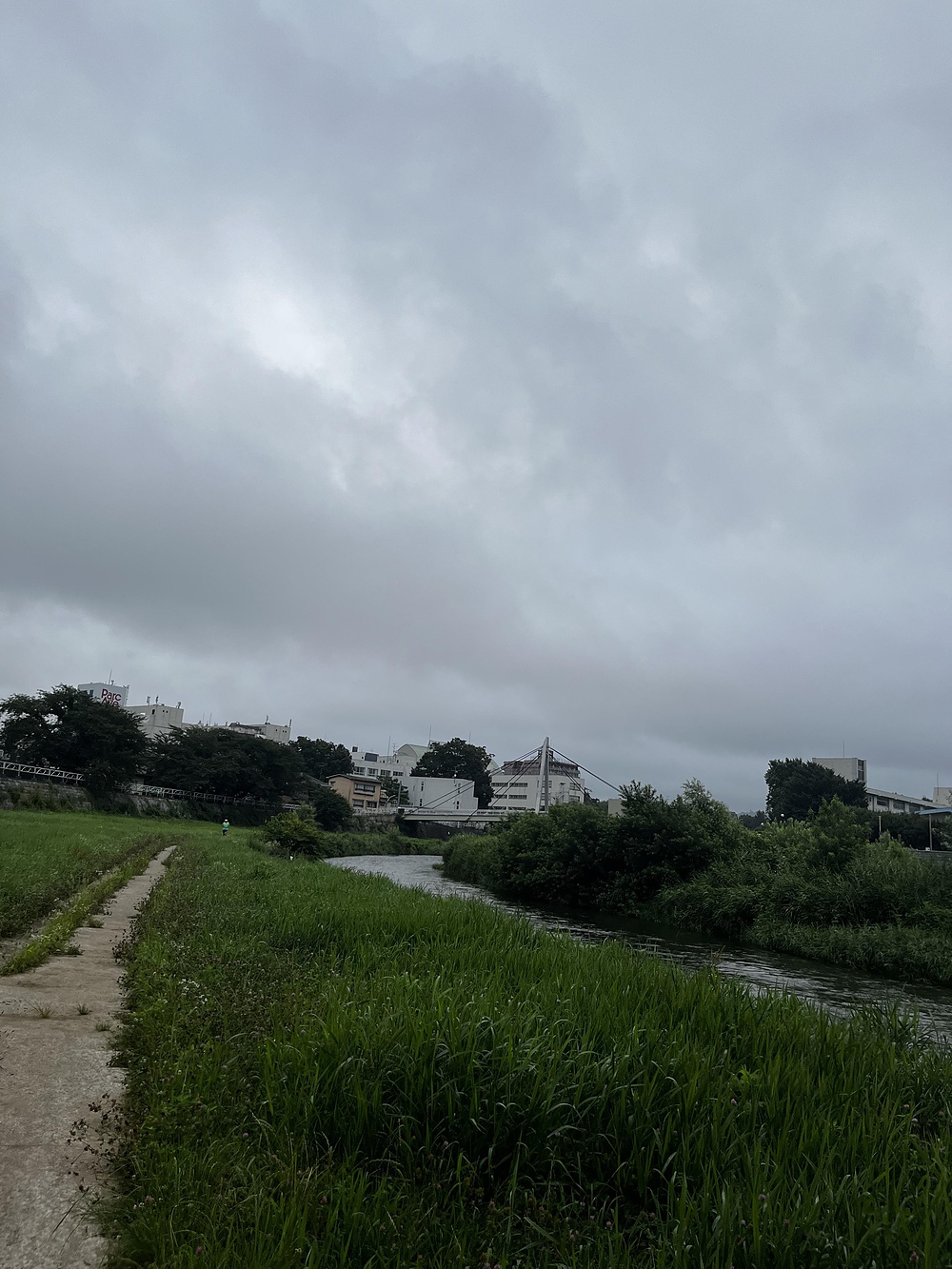 盛岡駅周辺（開運橋〜盛岡城跡公園）中津川6kmの写真4