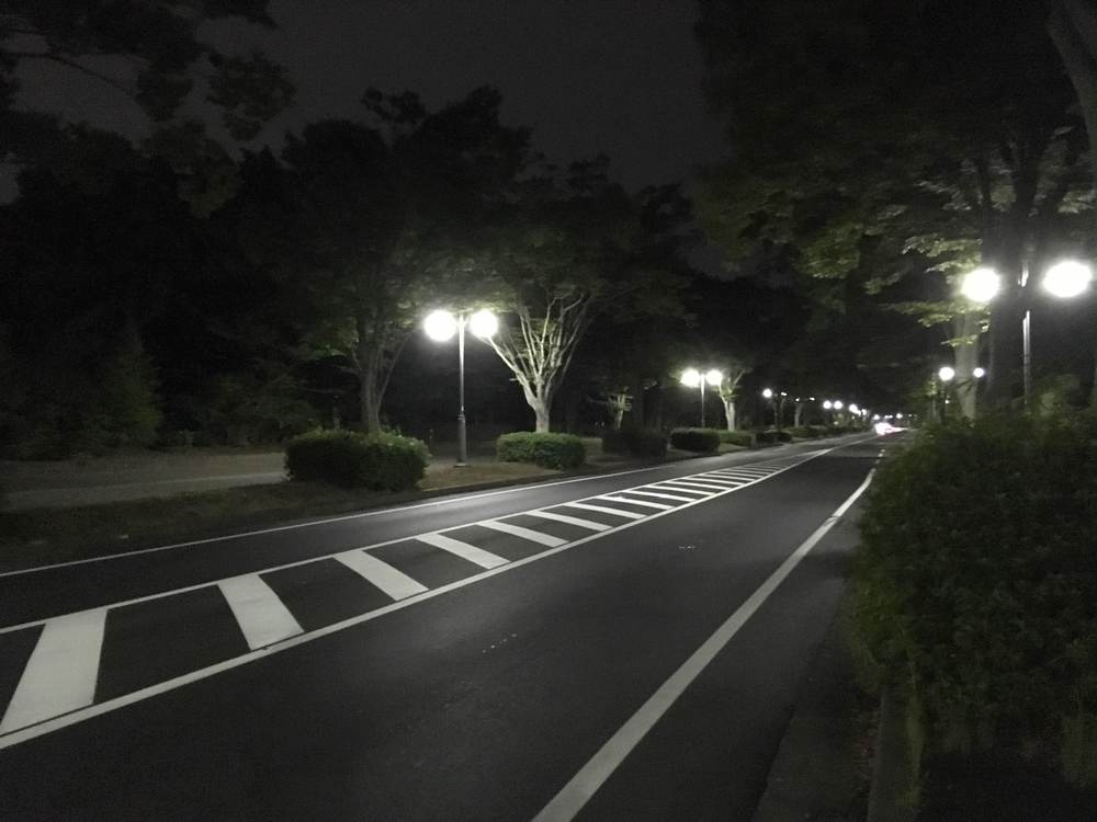 お気軽スマートシティーRUN!柏の葉公園周回コースの写真4