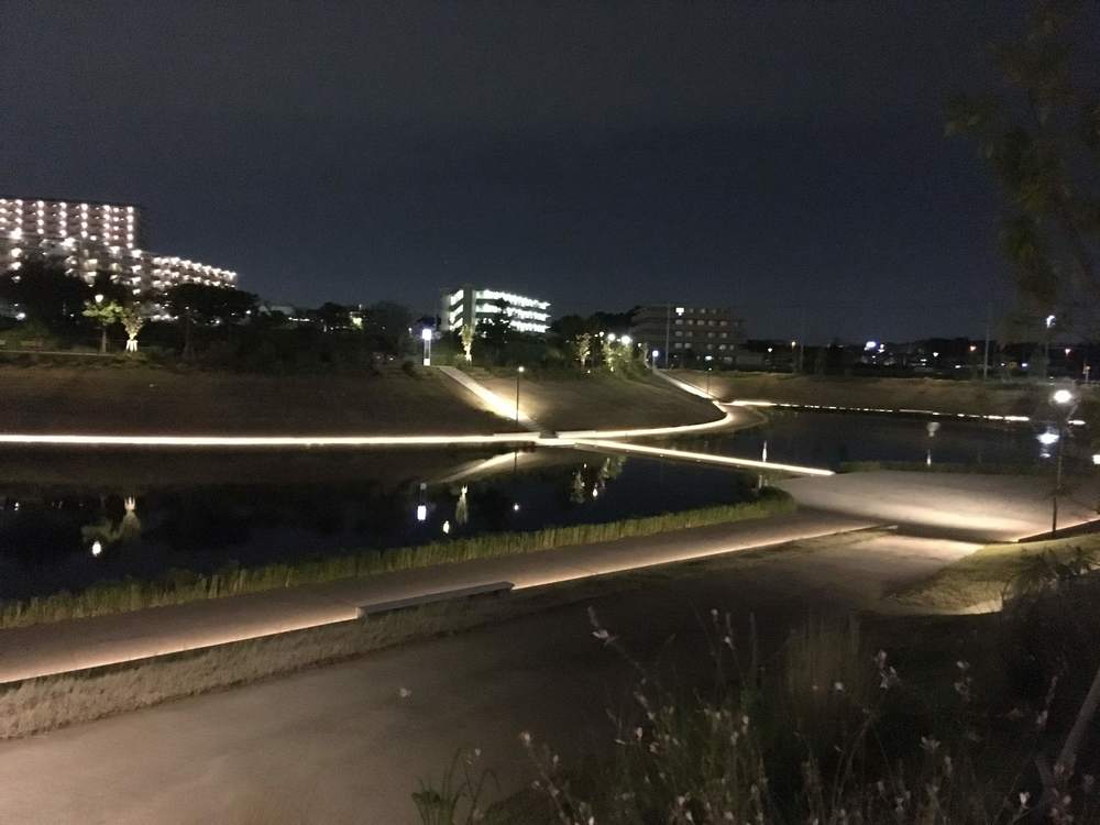 お気軽スマートシティーRUN!柏の葉公園周回コースの写真5