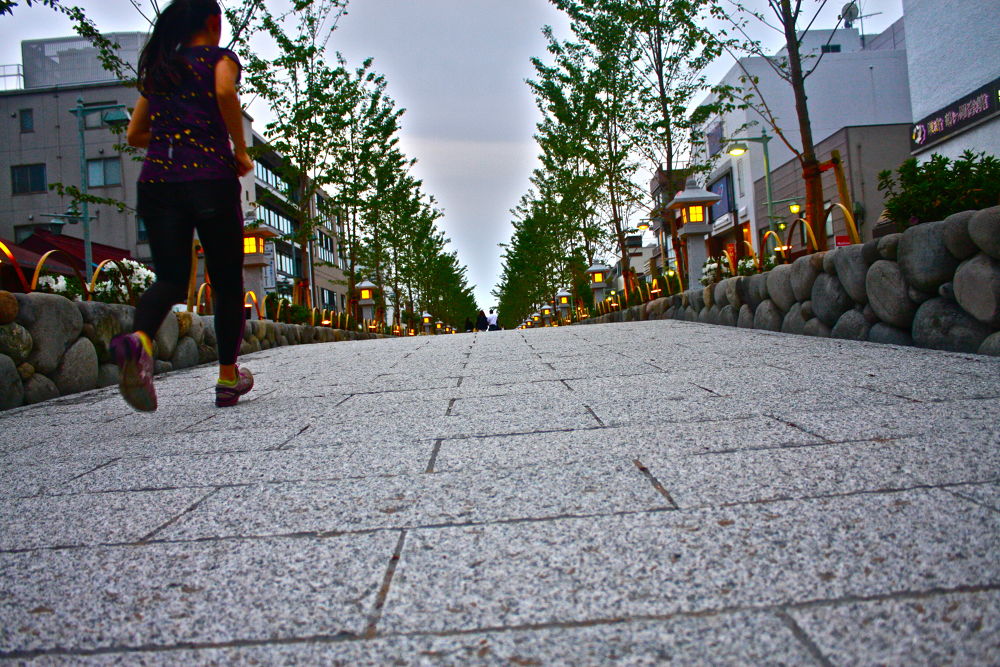 北鎌倉の自然と湘南の風の写真5