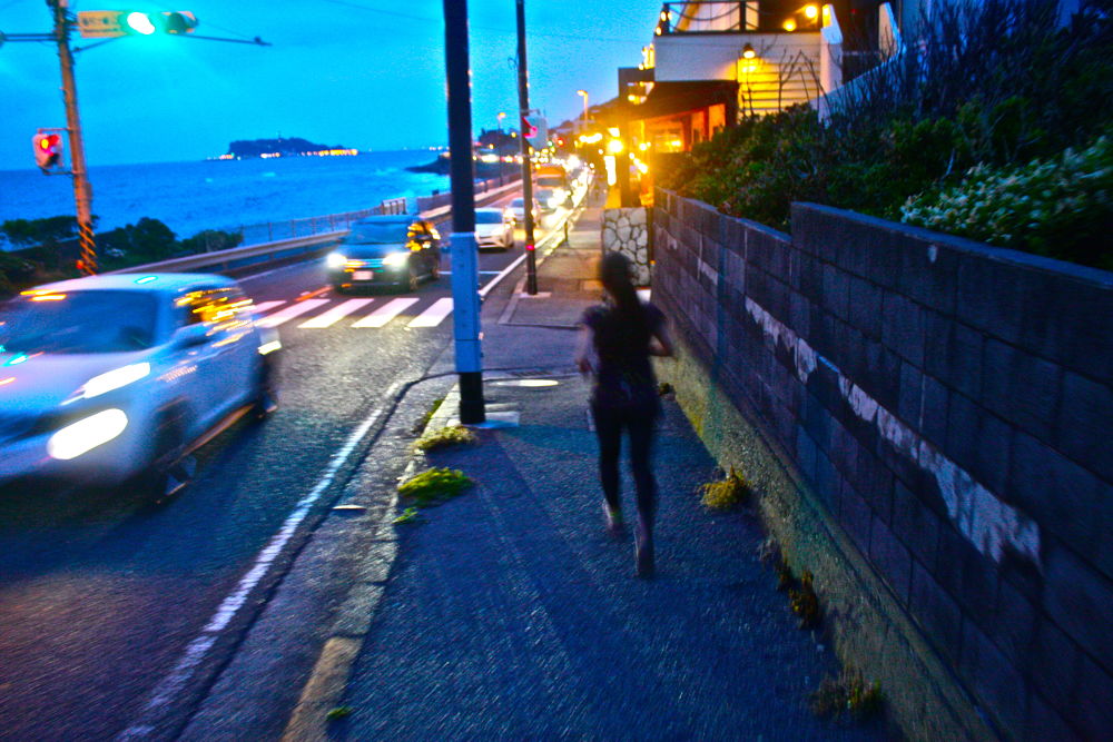 北鎌倉の自然と湘南の風の写真9