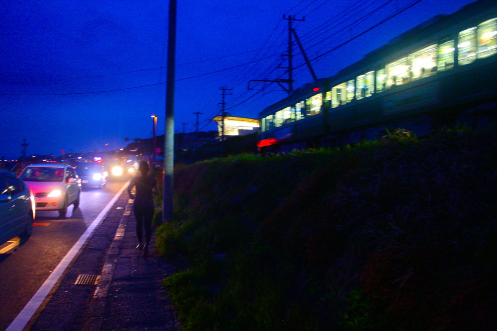 北鎌倉の自然と湘南の風の写真11