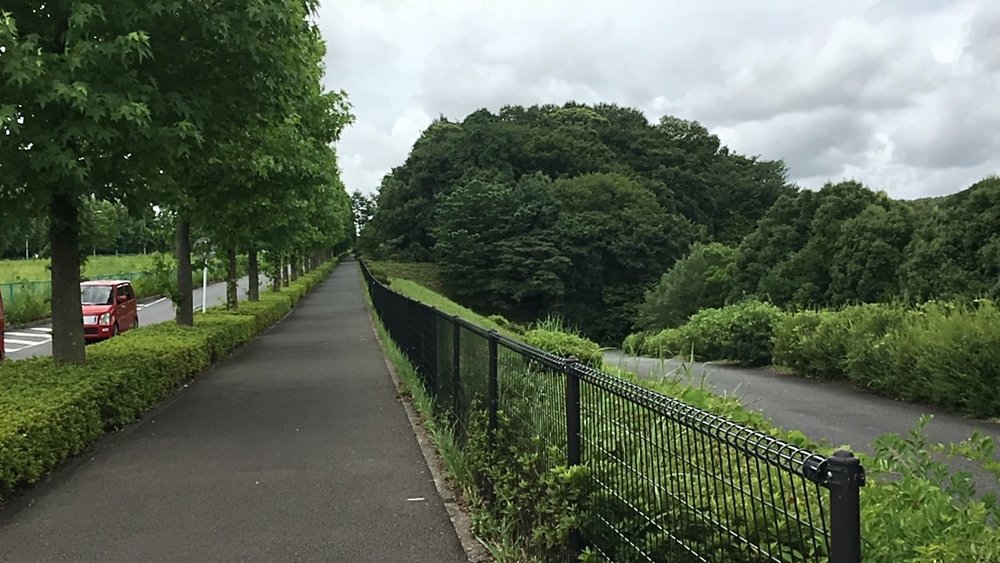 府中是政橋からよこやまの道、多摩センターから大栗川沿いの周回コースの写真3