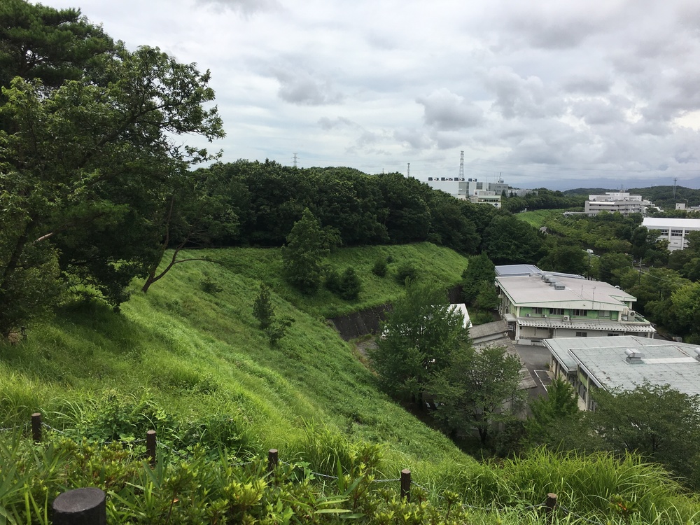 府中是政橋からよこやまの道、多摩センターから大栗川沿いの周回コースの写真4