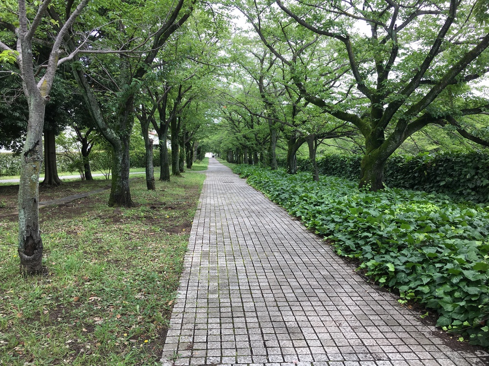 府中是政橋からよこやまの道、多摩センターから大栗川沿いの周回コースの写真5