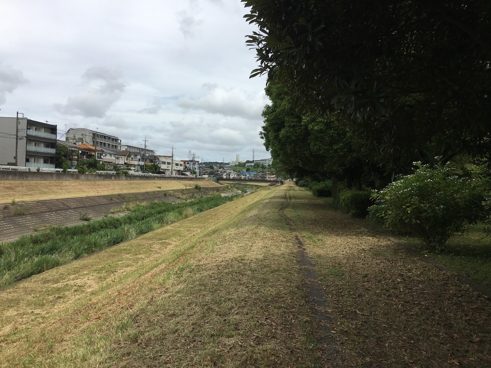府中是政橋からよこやまの道、多摩センターから大栗川沿いの周回コースの写真7