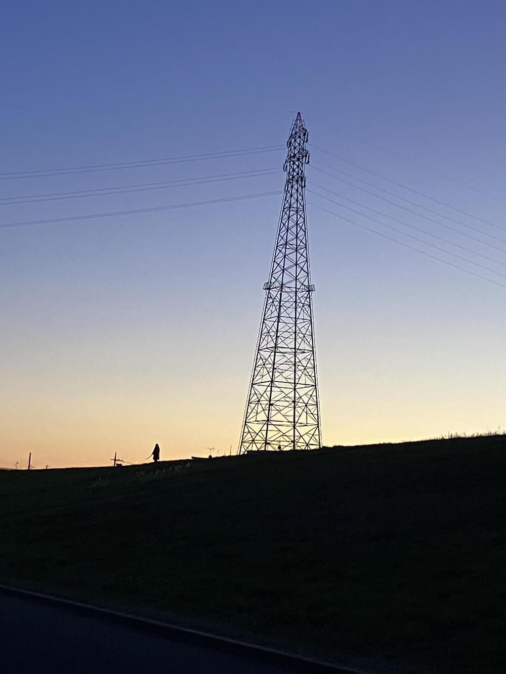 江戸川13kmコースの写真6