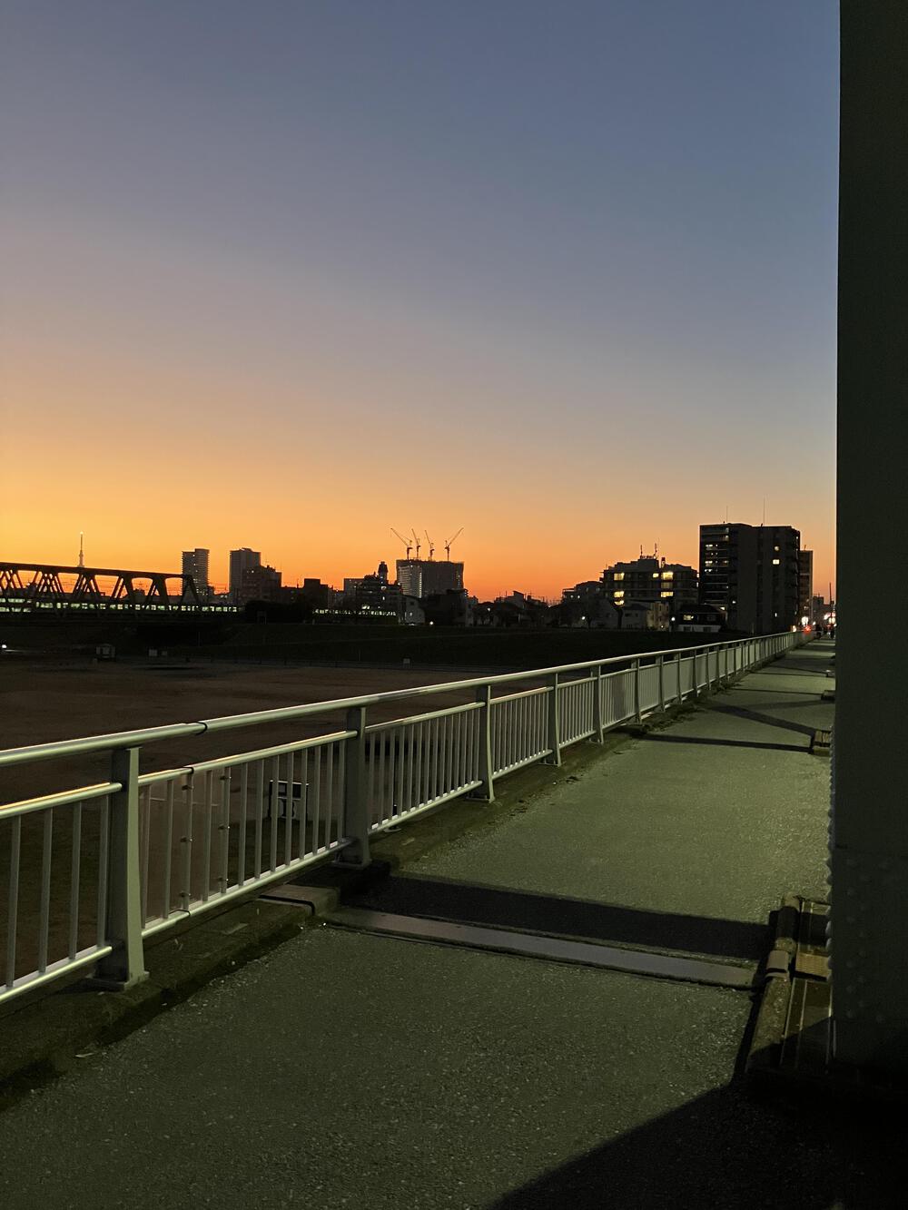 江戸川13kmコースの写真7