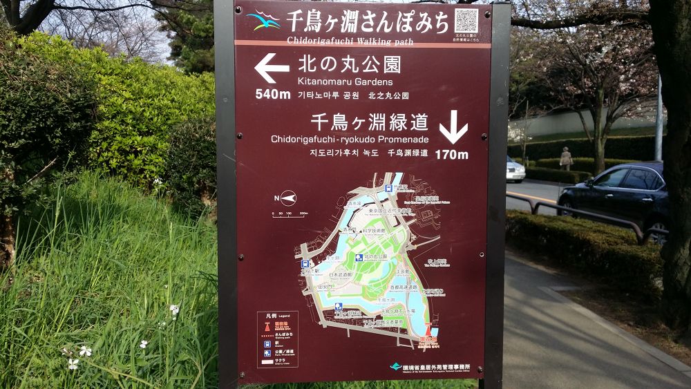 ビギナーでも楽しい千鳥ヶ淵楽ちんコースの写真4