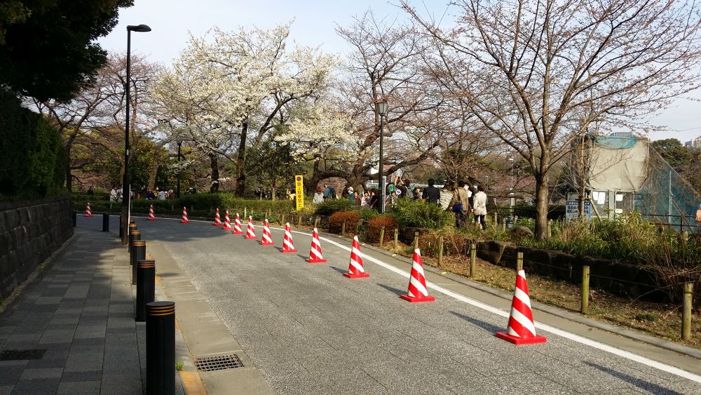 ビギナーでも楽しい千鳥ヶ淵楽ちんコースの写真5