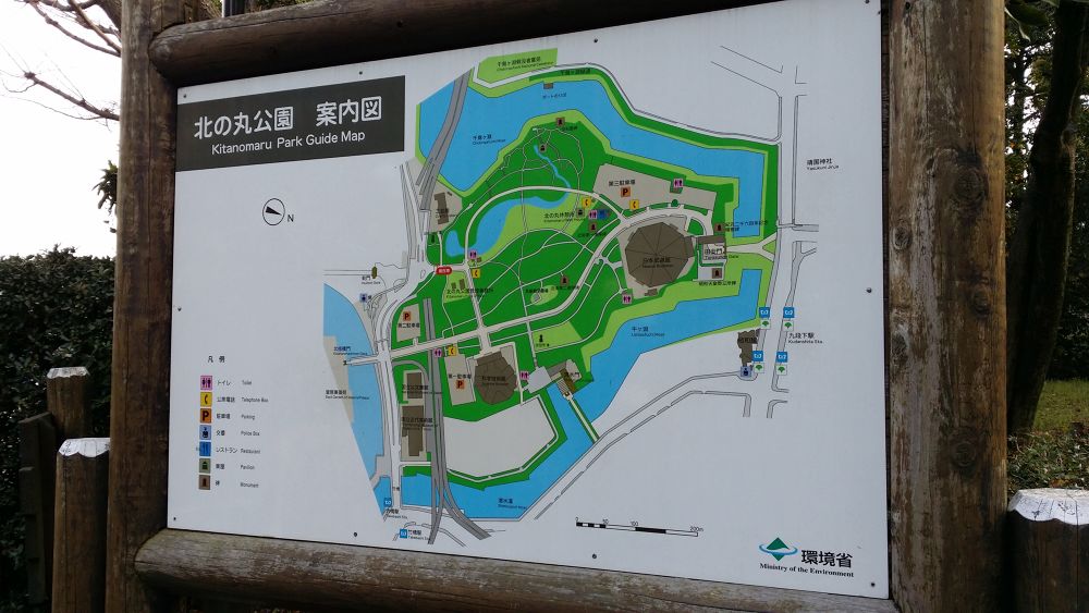 ビギナーでも楽しい千鳥ヶ淵楽ちんコースの写真7