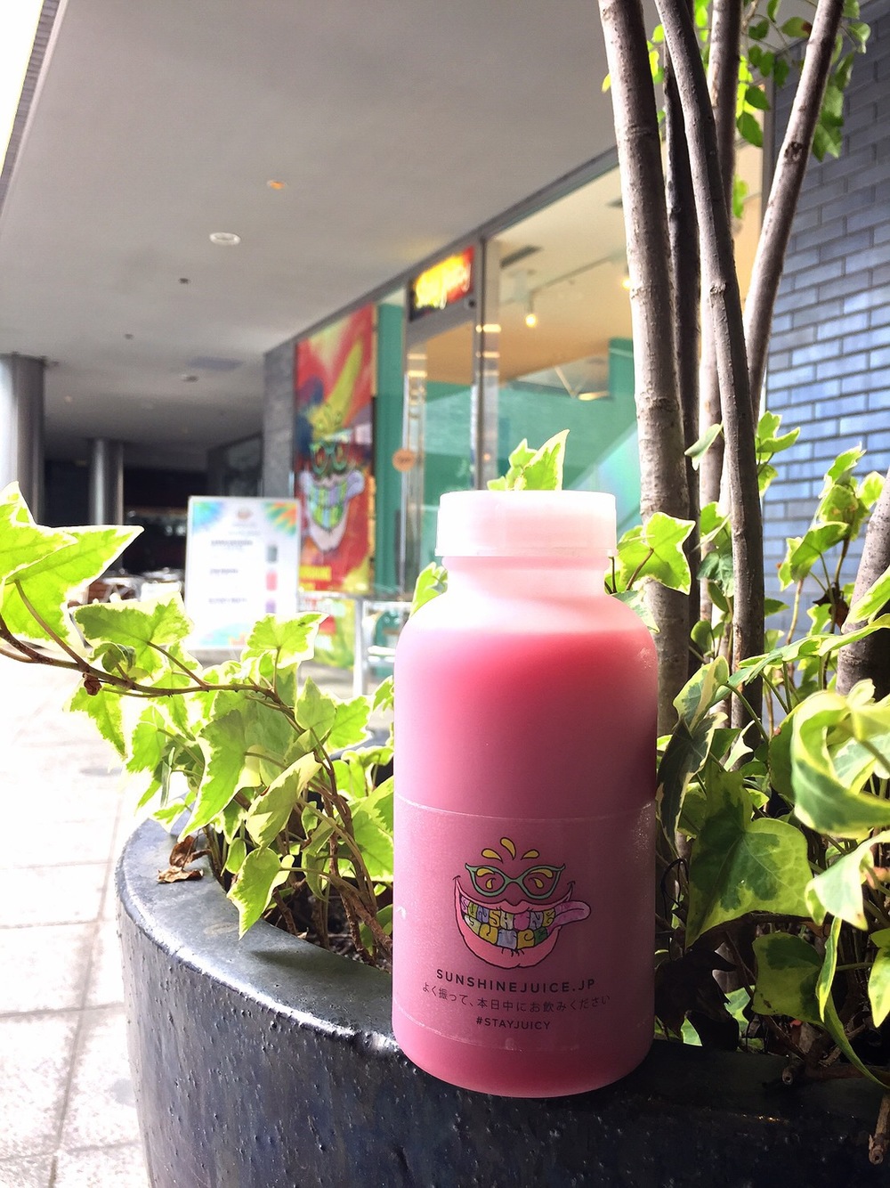 自由が丘〜駒沢〜二子玉川・スムージーめぐりラン☆の写真6