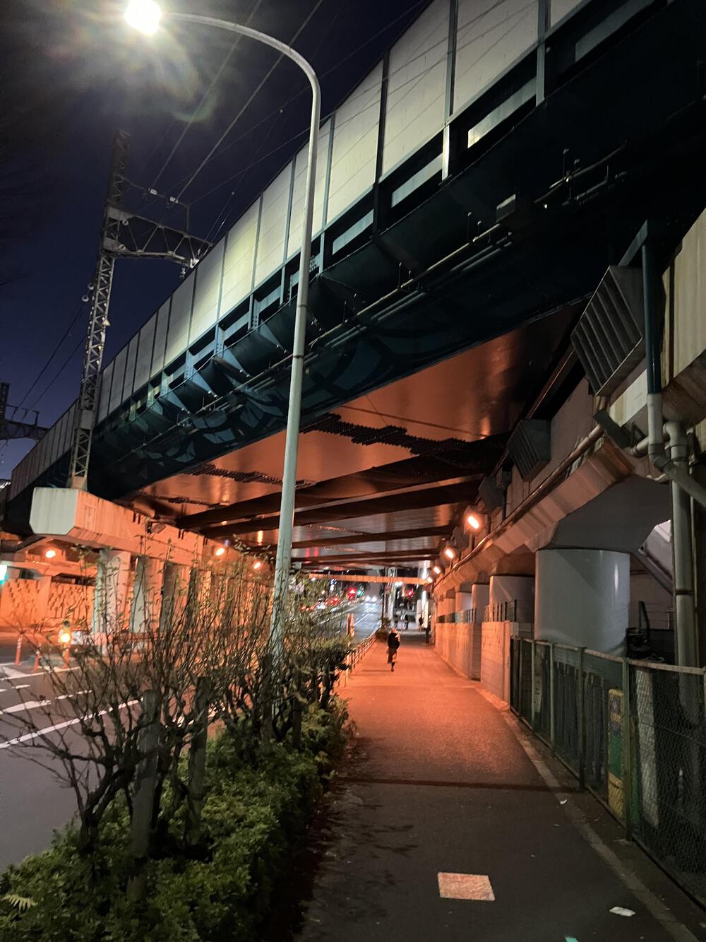 表参道から井の頭通りを通って温泉に行こうの写真8