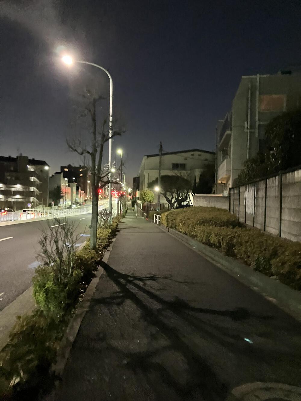 表参道から井の頭通りを通って温泉に行こうの写真9