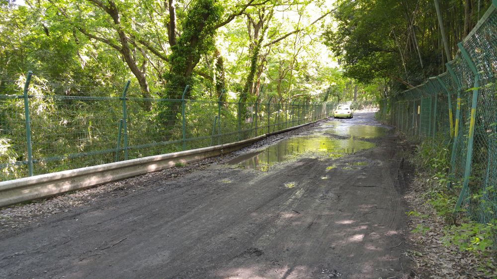 気分爽快。水と緑の狭山湖一周コースの写真4