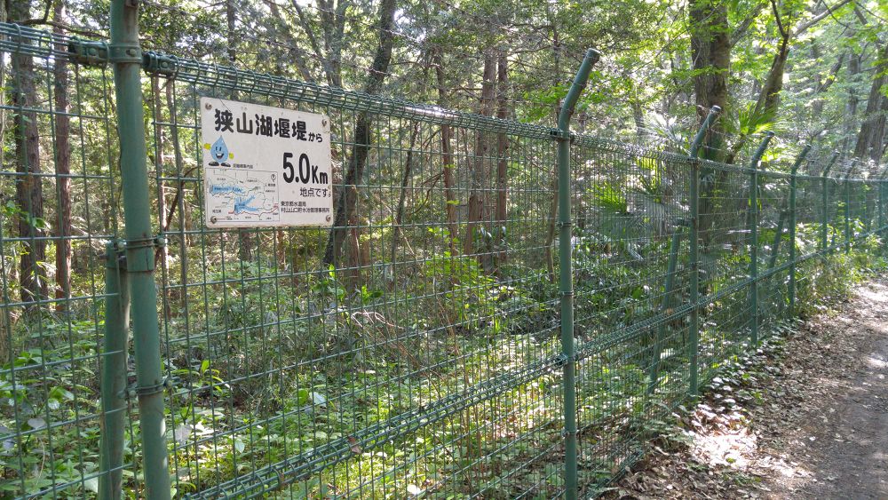 気分爽快。水と緑の狭山湖一周コースの写真5