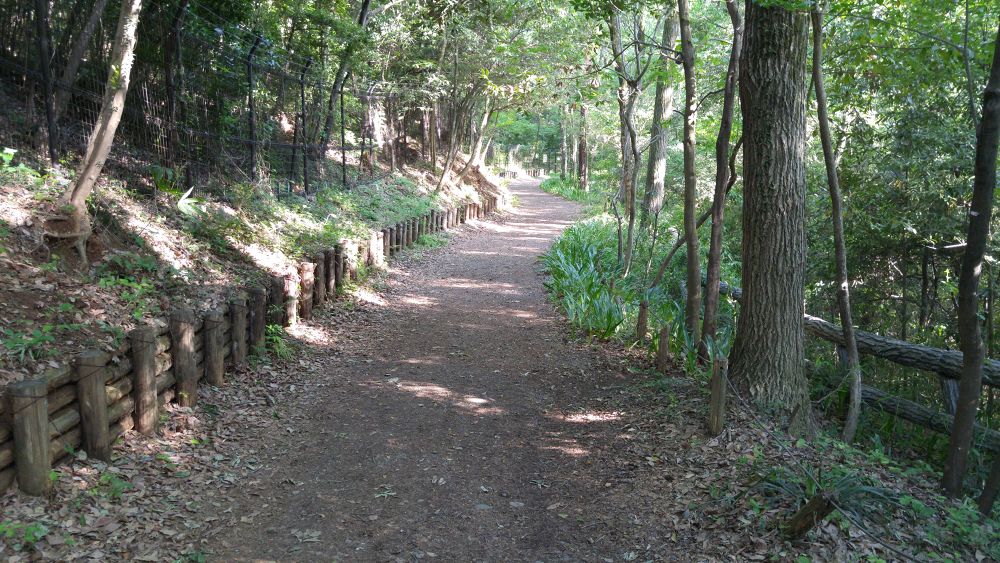 気分爽快。水と緑の狭山湖一周コースの写真10